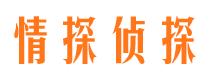 铁西调查公司